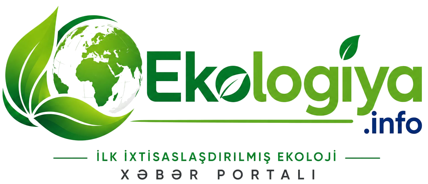 Tətbiq Adı Logo